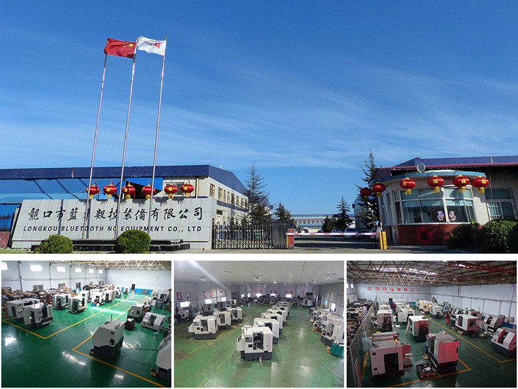 �D1 ��˾���[